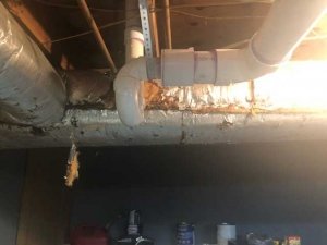 just-in-time-plumbing-best-plumber-kings-mountain-gastonia-shelby