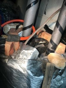 just-in-time-plumbing-best-plumber-gastonia