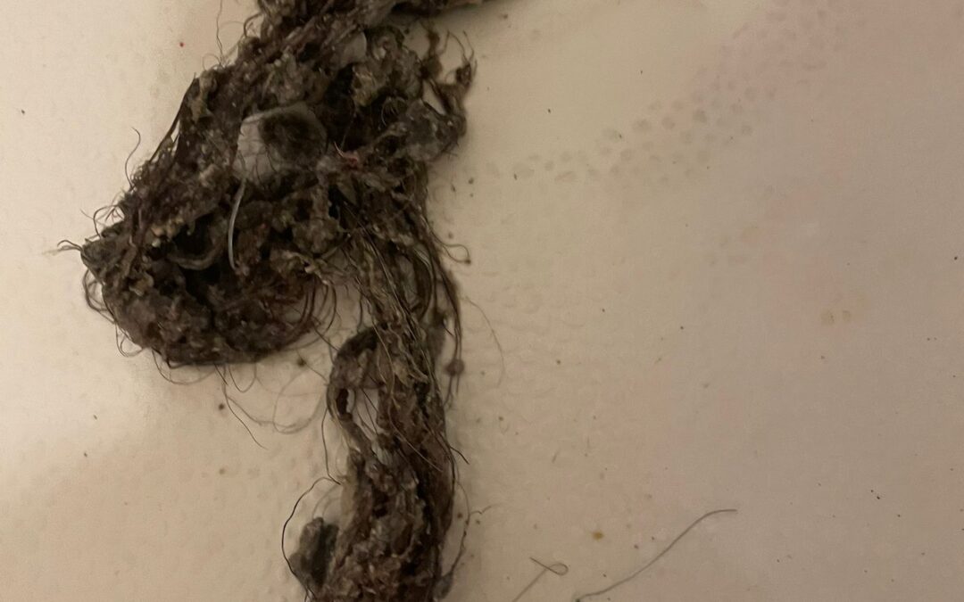 Signs of a Clogged Drain and How to Address Them